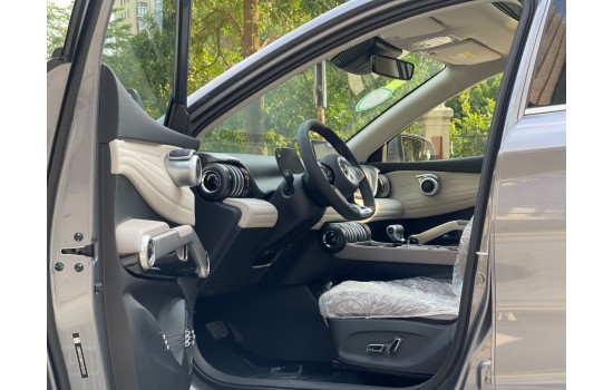 BYD Yuan Plus Grey 2024